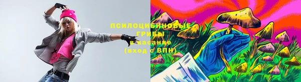 хмурый Алексеевка