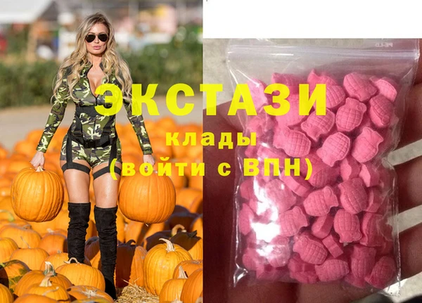 мет Алексин